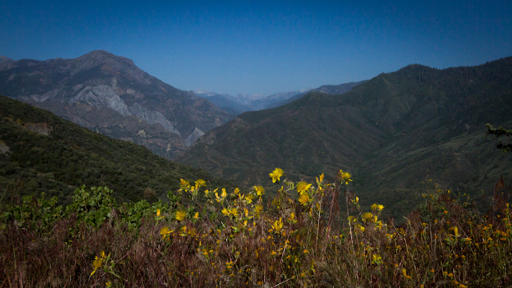 Img 6394 Photography Art | Captured Adventure Photography