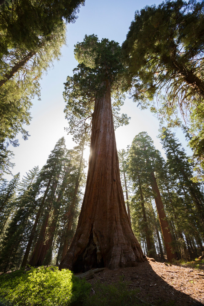 Img 6317 Photography Art | Captured Adventure Photography