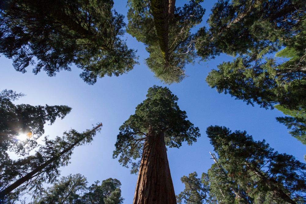 Img 6336 Photography Art | Captured Adventure Photography