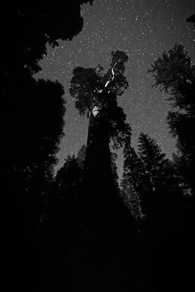 Goodnight 18 Photography Art | Captured Adventure Photography