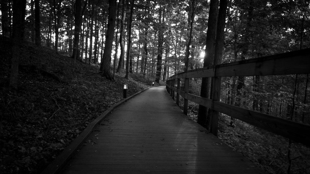 Mg 7179 Photography Art | Captured Adventure Photography