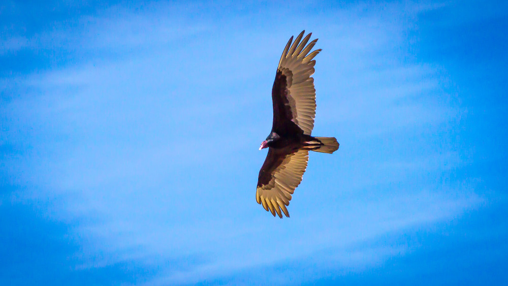 Img 2099 Photography Art | Captured Adventure Photography