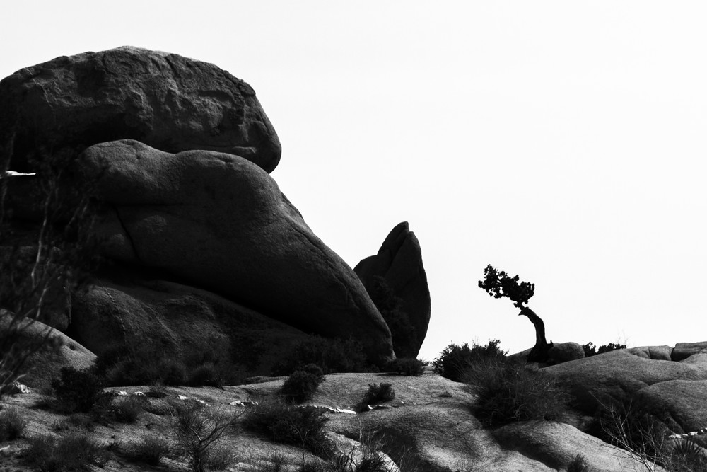 Img 2198 Photography Art | Captured Adventure Photography