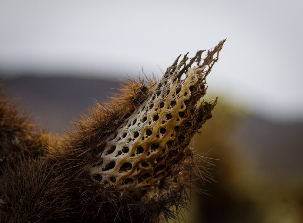 Img 2279 Photography Art | Captured Adventure Photography