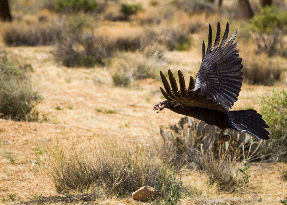 Img 2165 Photography Art | Captured Adventure Photography