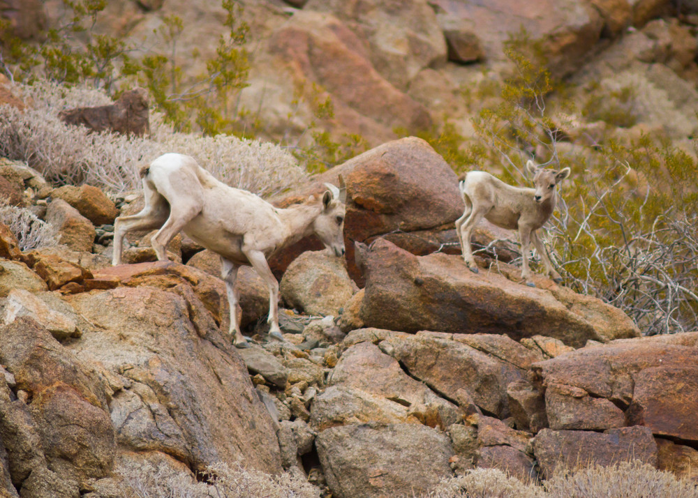 Img 2332 Photography Art | Captured Adventure Photography