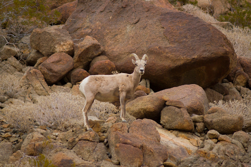 Img 2338 Photography Art | Captured Adventure Photography