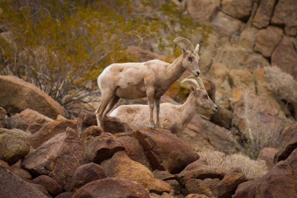 Img 2324 Photography Art | Captured Adventure Photography