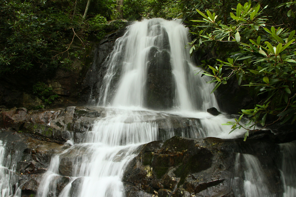 Img 6963 Photography Art | Captured Adventure Photography