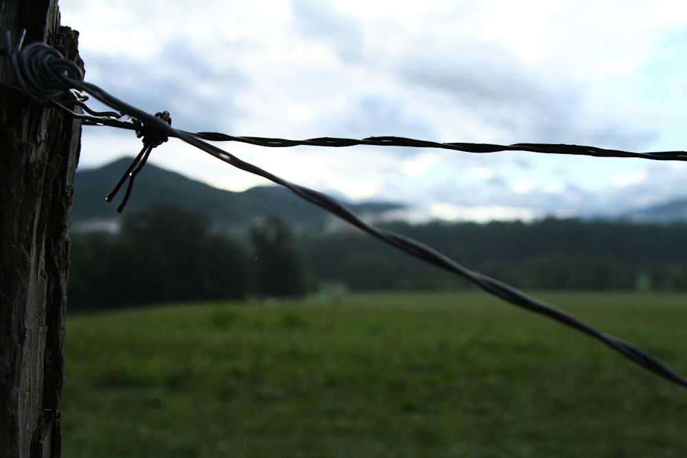 Img 6750 Photography Art | Captured Adventure Photography