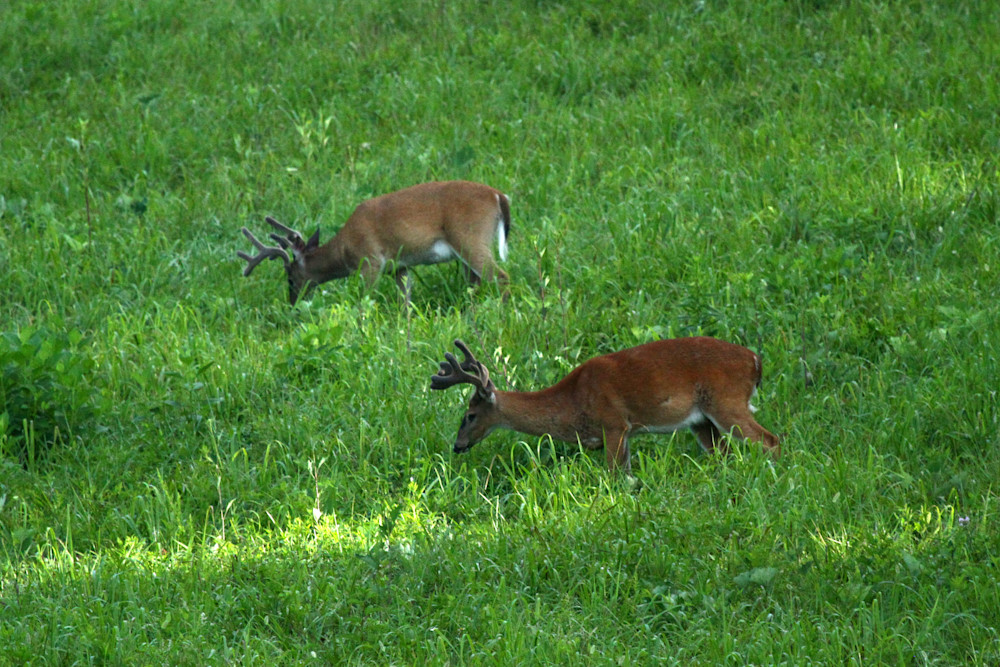 Img 6828 Photography Art | Captured Adventure Photography