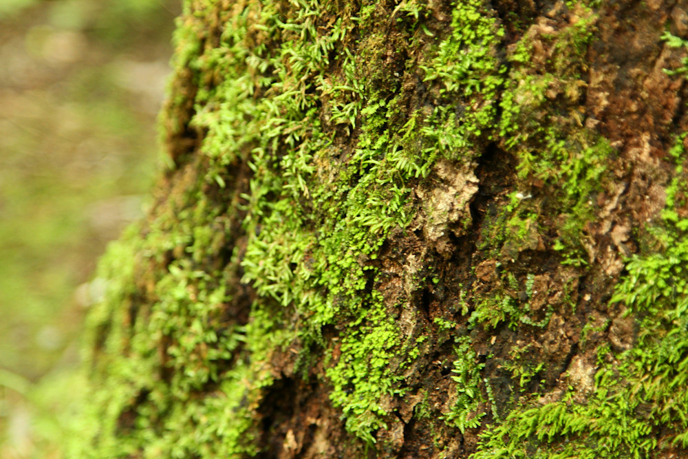 Img 6945 Photography Art | Captured Adventure Photography