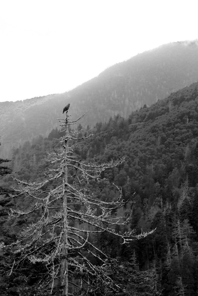 Img 71888990 Photography Art | Captured Adventure Photography