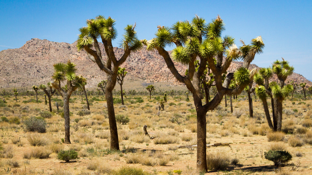 Img 2087 Photography Art | Captured Adventure Photography