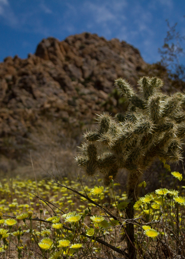 Img 2048 Photography Art | Captured Adventure Photography