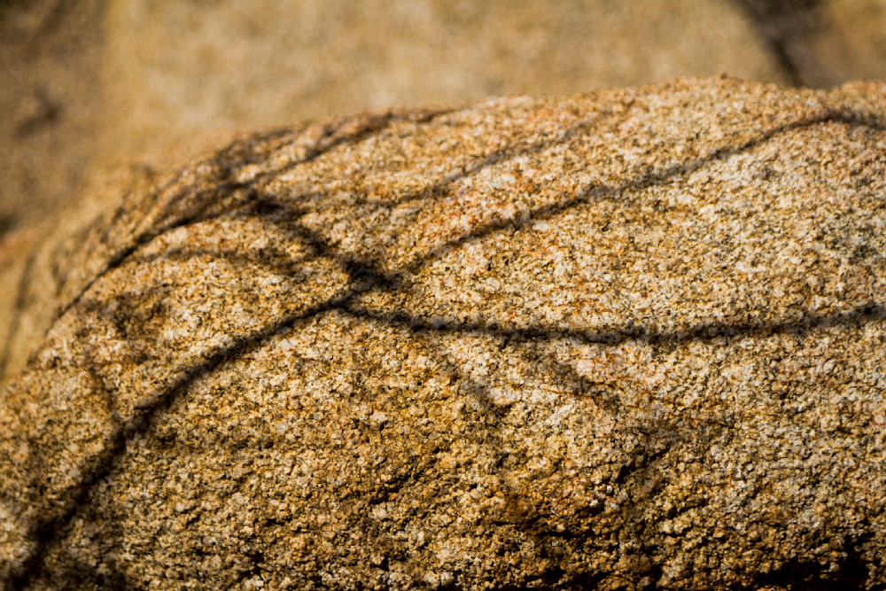 Img 2027 Photography Art | Captured Adventure Photography