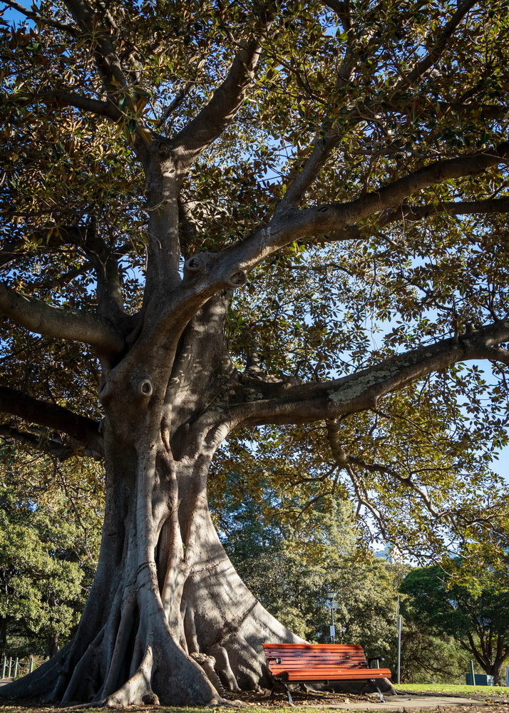 0 Y4 A8345 Photography Art | Captured Adventure Photography