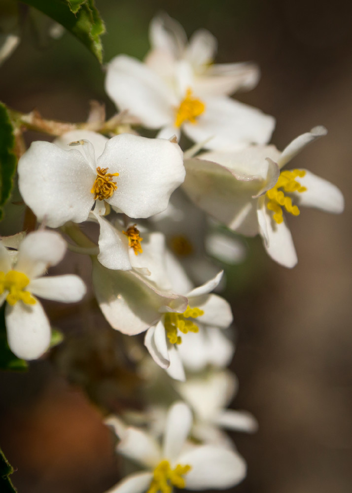 Mg 7371 Photography Art | Captured Adventure Photography