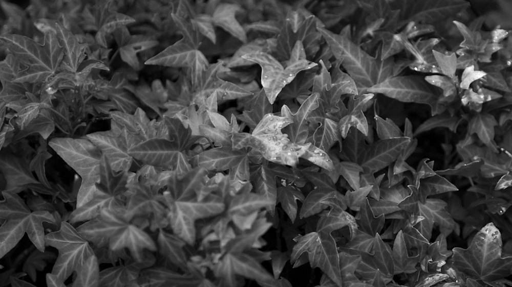 Mg 7346 Photography Art | Captured Adventure Photography