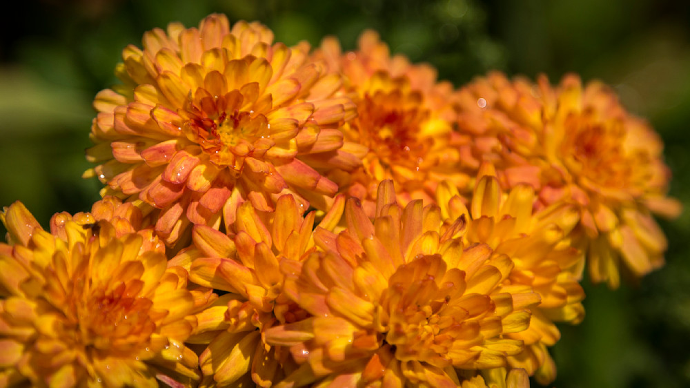 Mg 7389 Photography Art | Captured Adventure Photography