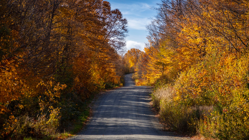 0 Y4 A9187 Photography Art | Captured Adventure Photography