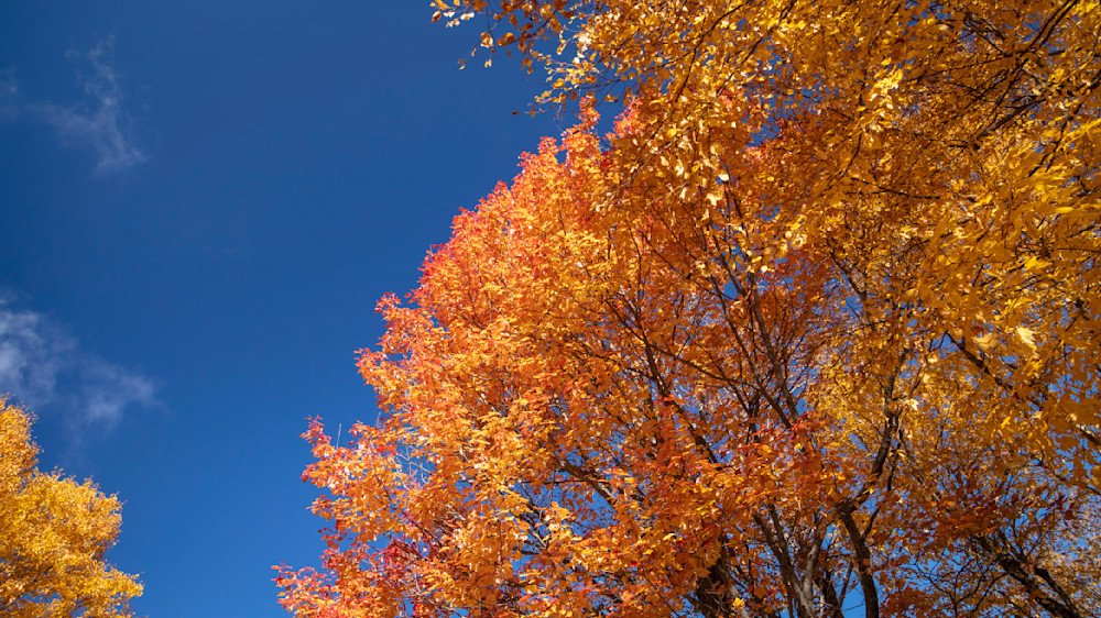 0 Y4 A9171 Photography Art | Captured Adventure Photography