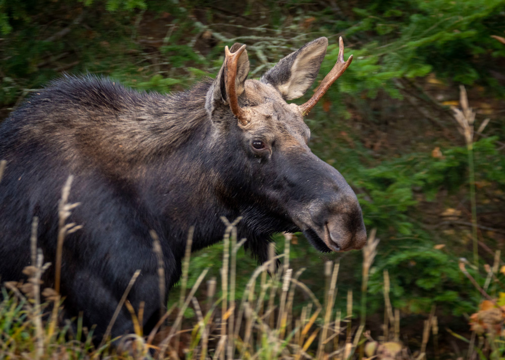 S00 A2691 Photography Art | Captured Adventure Photography