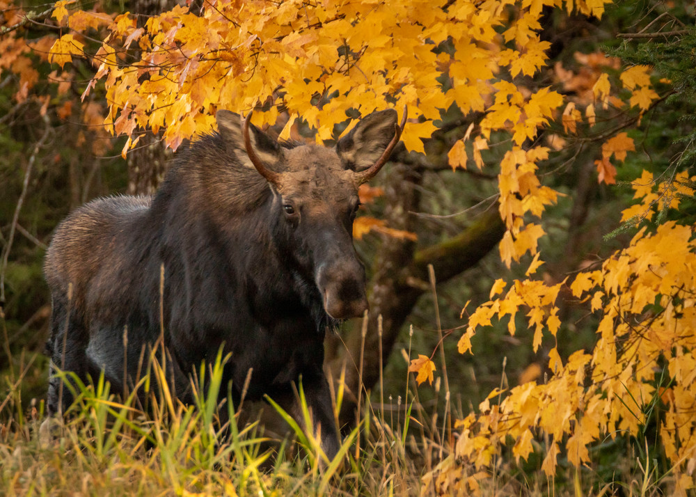 S00 A2660 Photography Art | Captured Adventure Photography