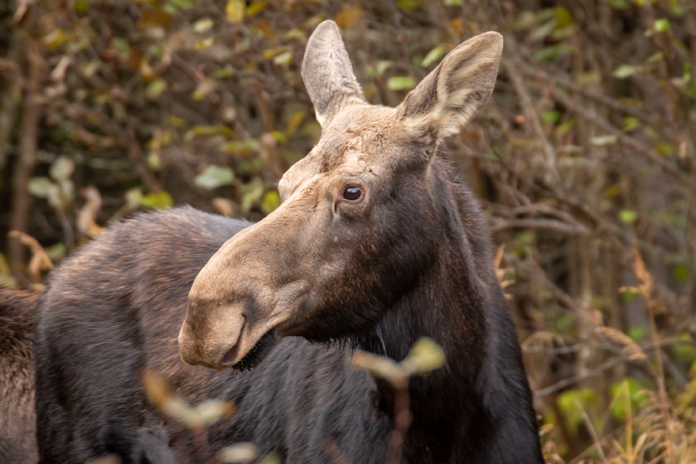 S00 A2779 Photography Art | Captured Adventure Photography