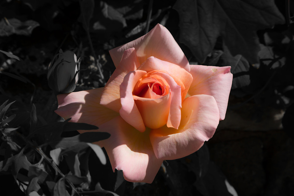 0 Y4 A0982 Photography Art | Captured Adventure Photography