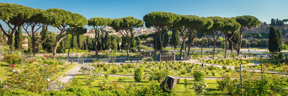 0 Y4 A3935 Photography Art | Captured Adventure Photography