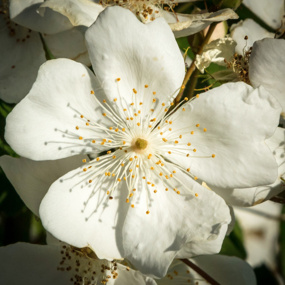 0 Y4 A3938 Photography Art | Captured Adventure Photography