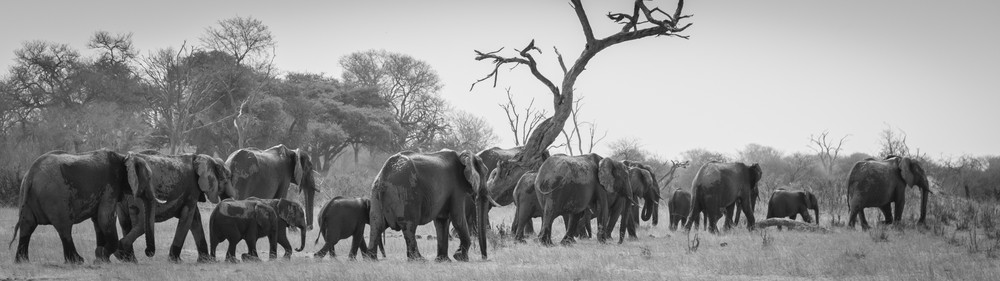 0 Y4 A6965 Photography Art | Captured Adventure Photography