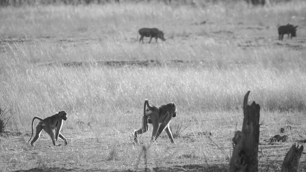 S00 A7211 Photography Art | Captured Adventure Photography