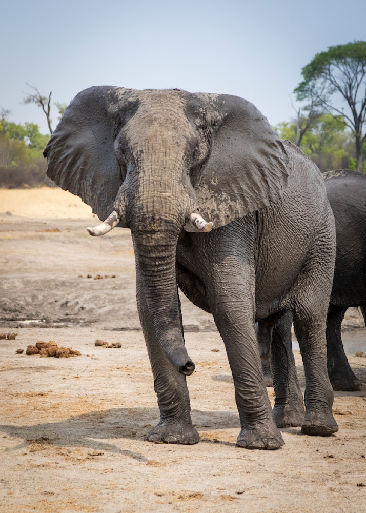 0 Y4 A6939 Photography Art | Captured Adventure Photography