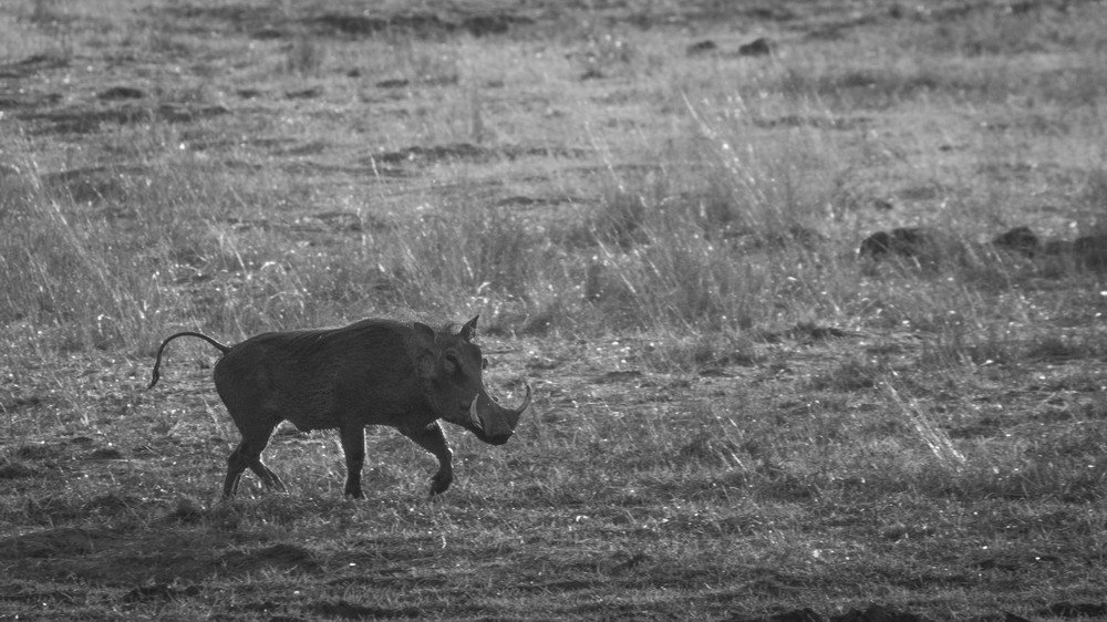 S00 A7341 Photography Art | Captured Adventure Photography