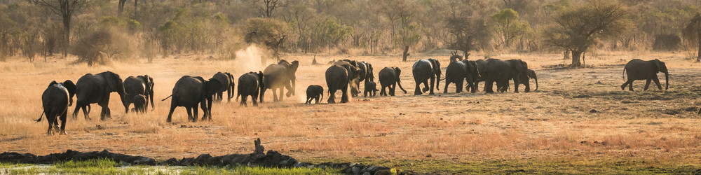 S00 A7284 1 Photography Art | Captured Adventure Photography