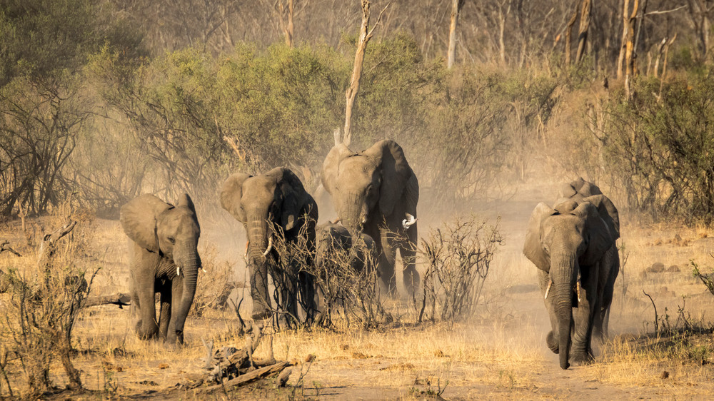 S00 A7505 Photography Art | Captured Adventure Photography