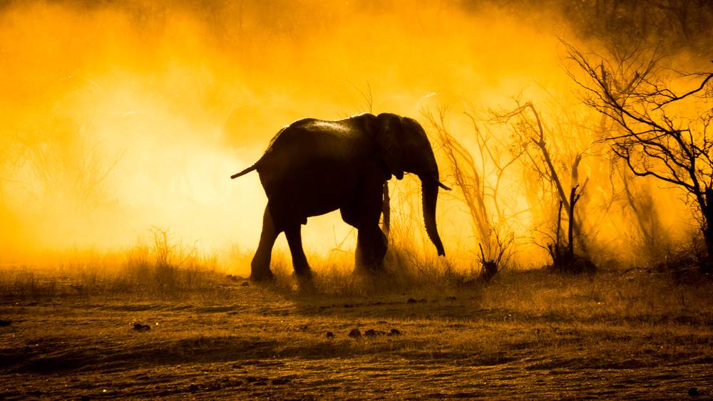 S00 A7346 Photography Art | Captured Adventure Photography