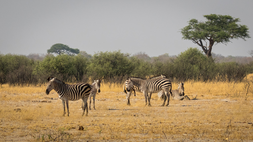 S00 A7596 Photography Art | Captured Adventure Photography