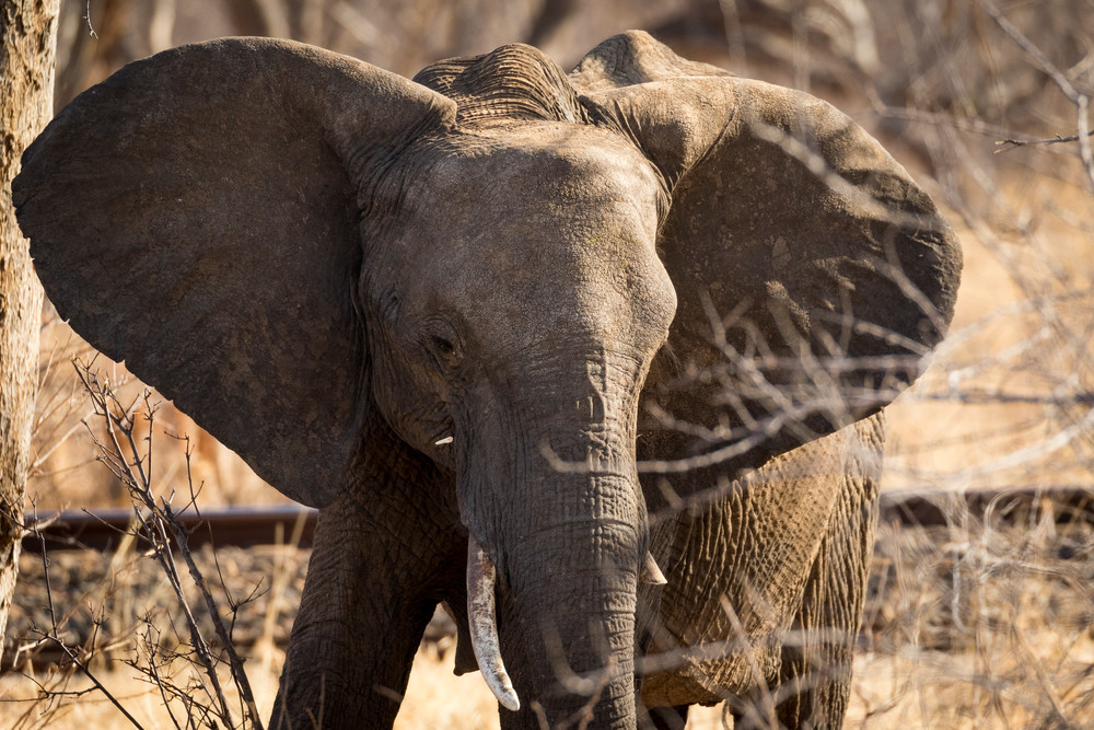 S00 A7127 Photography Art | Captured Adventure Photography