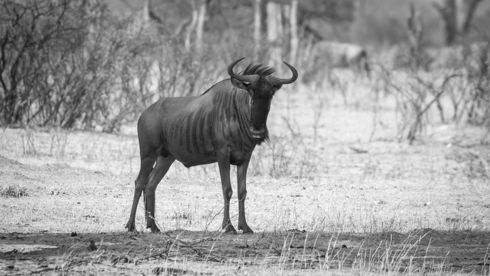 S00 A7593 Photography Art | Captured Adventure Photography