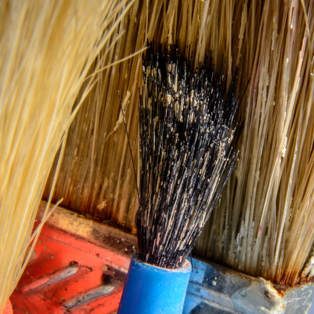 Paint Brushes Photography Art | Light of Day Gallery
