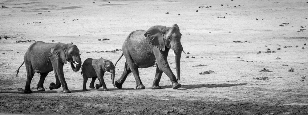 S00 A7809 Photography Art | Captured Adventure Photography