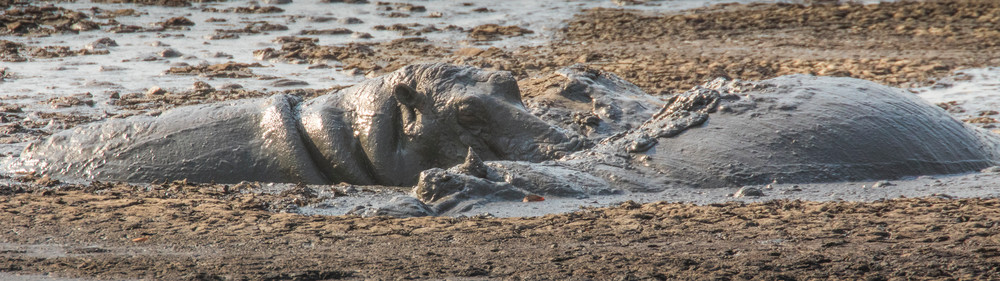 S00 A7712 Photography Art | Captured Adventure Photography