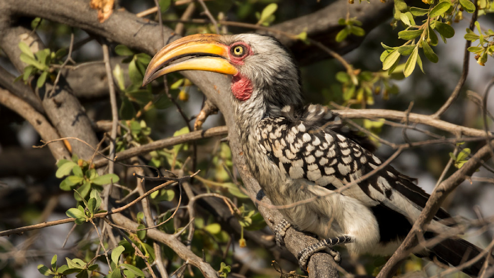 S00 A7657 Photography Art | Captured Adventure Photography