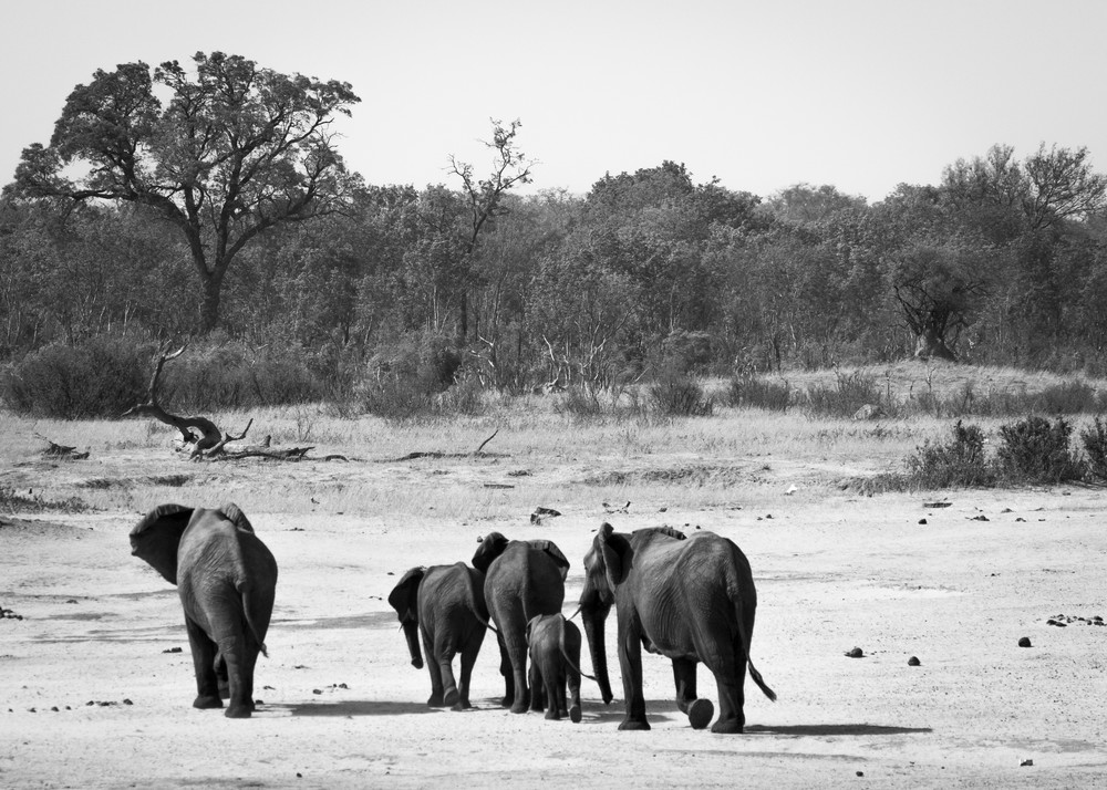 S00 A7964 Photography Art | Captured Adventure Photography