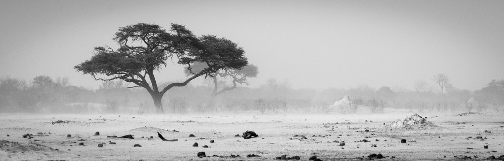 S00 A7971 Photography Art | Captured Adventure Photography