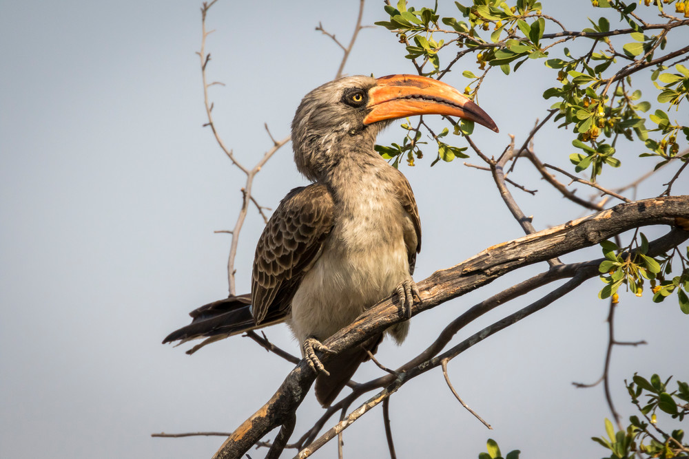 S00 A7680 Photography Art | Captured Adventure Photography