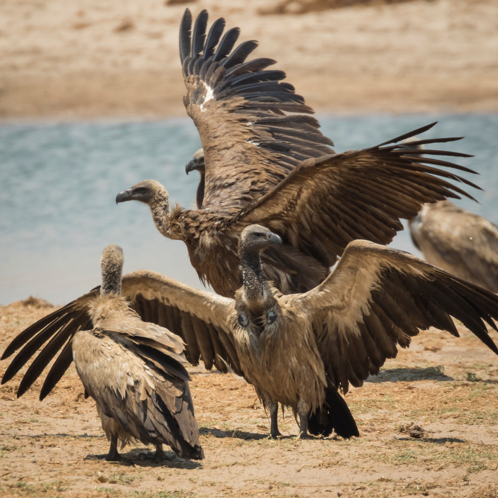 S00 A8231 Photography Art | Captured Adventure Photography